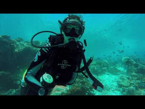 Diving in the Maldives|Constance Moofushi Maldives