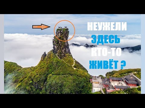 Сергей Дмитриев:  