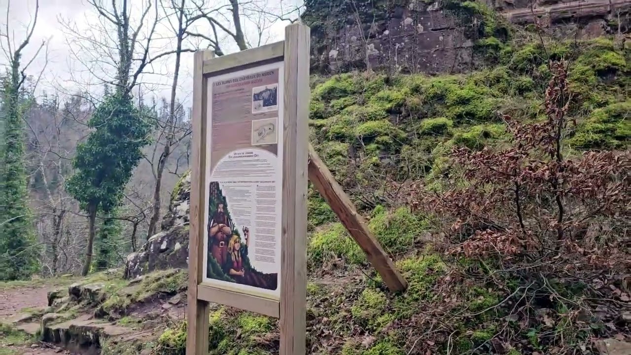 Cascade et château  du Nideck