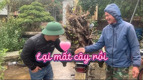 Mua Được cây giá rẻ, Chủ cây BẬT KHÓC @haubonsai2942