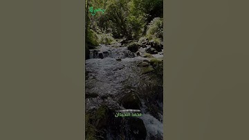 سورة التوبة الشيخ محمد اللحيدان #قرآن #quran #holy_quran #قران_كريم