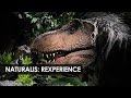 Spectaculaire animatronic in nieuwe attractie naturalis de rexperience