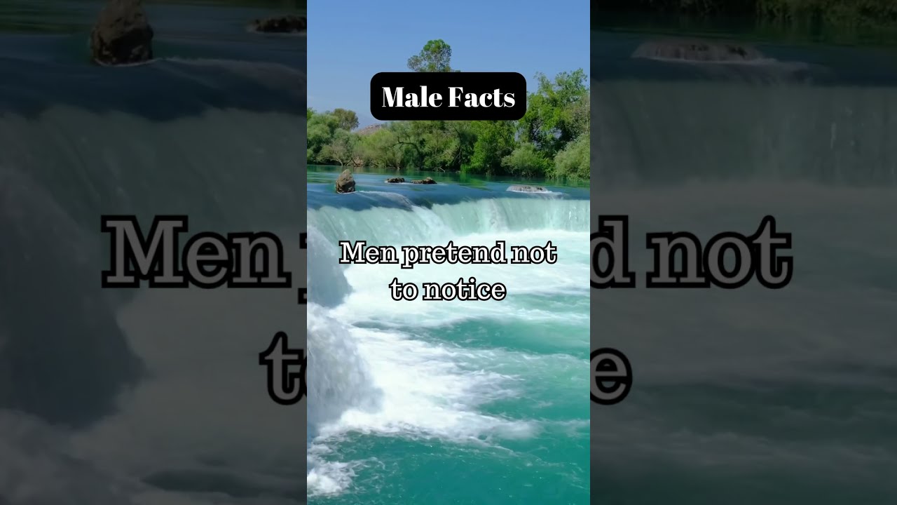 Male Facts 