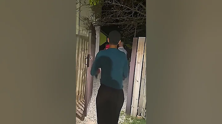 Vegas Backyard Aliens - Video Analysis