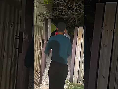 Vegas Backyard Aliens