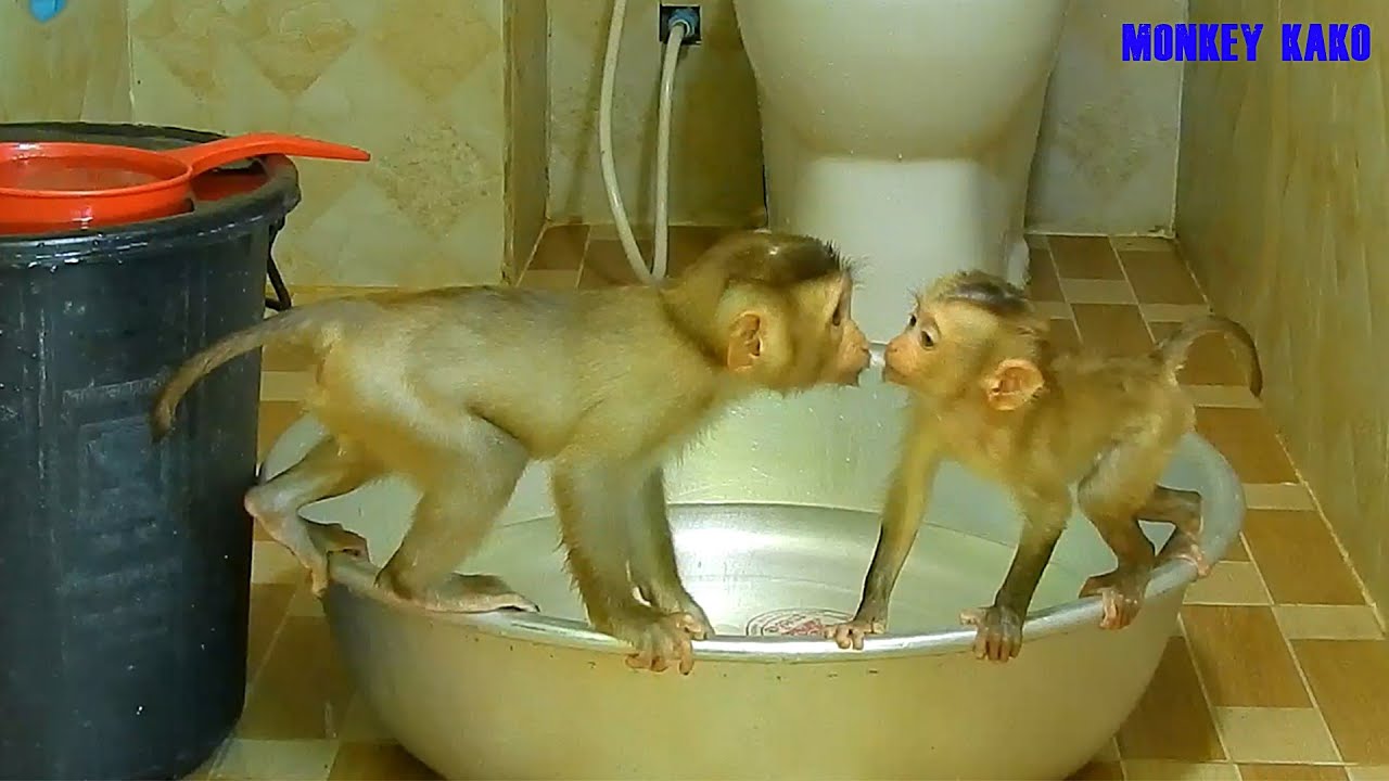 Reaction Baby Luna With Tiny Nina Taking Bath Routine