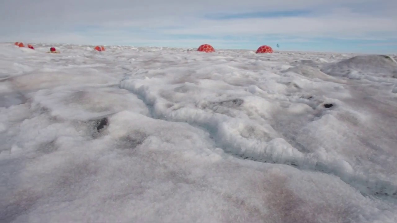 BLACK & BLOOM: What we're doing