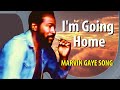 Miniature de la vidéo de la chanson I'm Going Home (Alternative Mix)