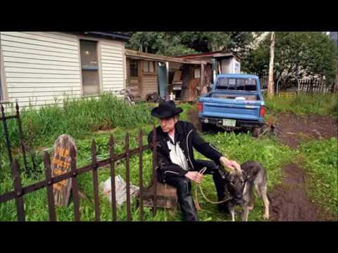 The Dogs Do