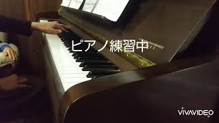 リラクゼーション。47歳からのピアノロシア奏法レッスンチャレンジ中。練習中。美術系出身ヒプノセラピストの愛犬との日常風景です。