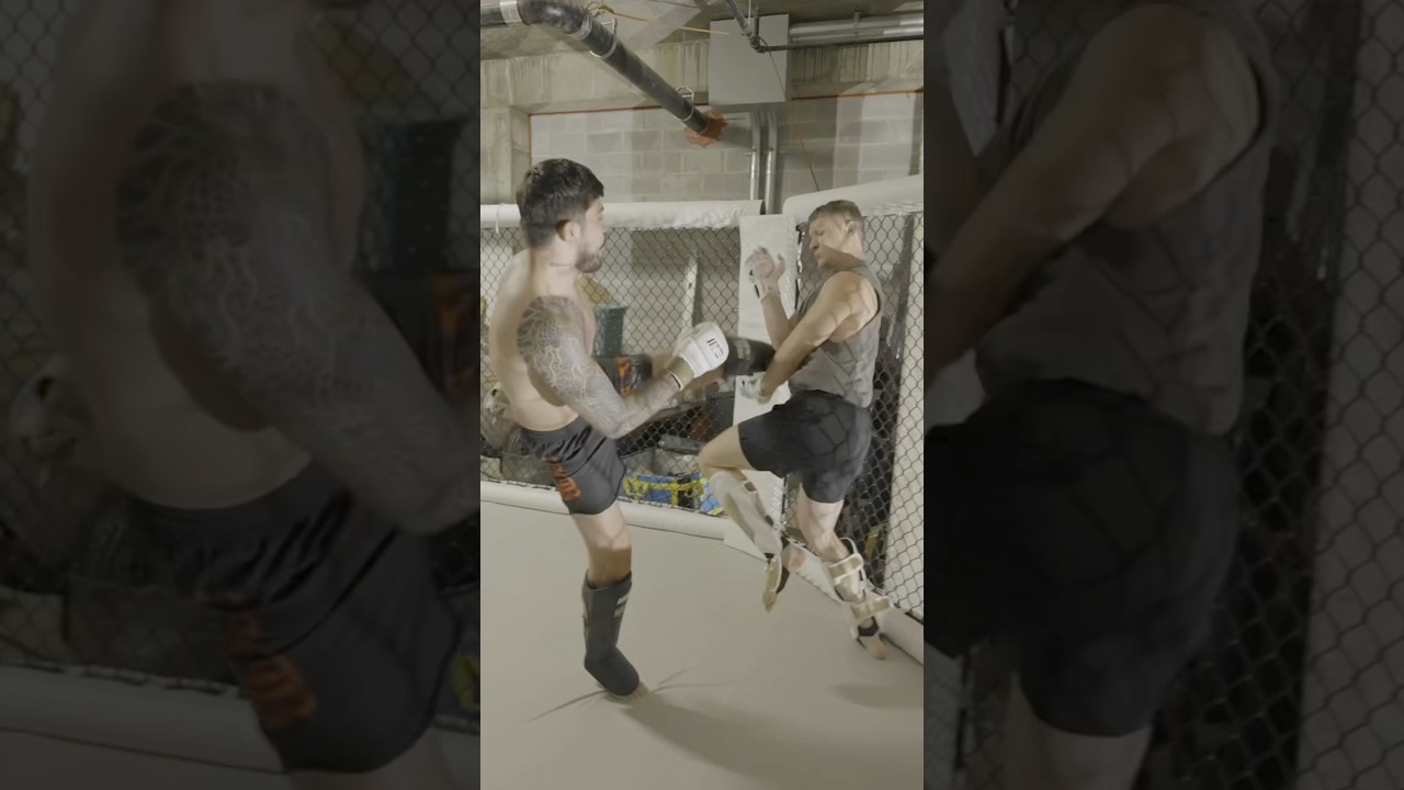 ‘I Won’t Hurt You!’ Dillon Danis Spars Wade 😂