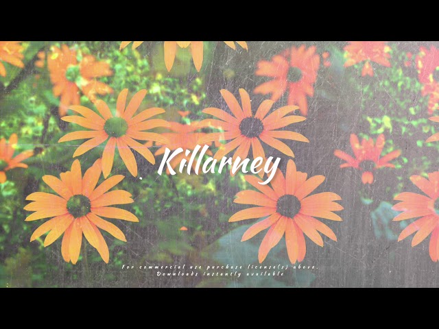 [FREE] Katy Perry x Zara Larsson Type Beat 2020 - “Killarney” | Pop Instrumental