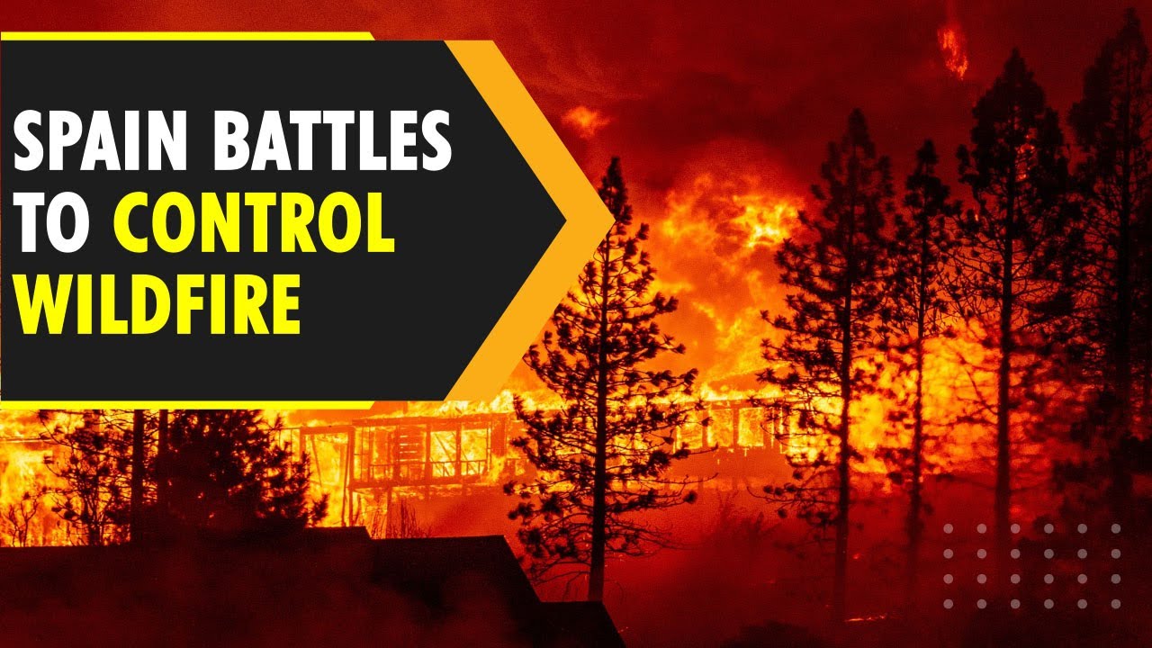Spain Battles To Stop Raging Wildfire WION Originals International 