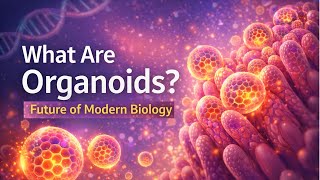 What are Organoids? Future of Modern Biology #organoids #biology #personalizedmedicine