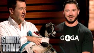 Shark Tank US | Sharks Play With Baby Goats For GOGA Goat Yoga Pitch