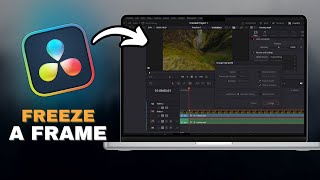How To FREEZE a FRAME In Davinci Resolve in SECONDS!