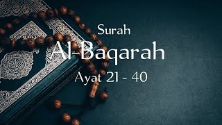 2. (Ayat 21 - 40) Surah Al-Baqarah || one day one ayat