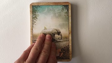 The Enchanted Map Oracle | Flip Through