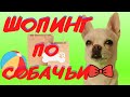 VLOG | ШОПИНГ В ЗООМАГАЗИНЕ | ПЯТЬ ПРИЧИН КУПИТЬ ЧИХУАХУА  | ЧТО ЕДЯТ МОИ КОТОПСЫ #чихуахуа