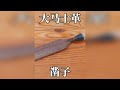 大马士革钢造的凿子,成品惊艳大神!