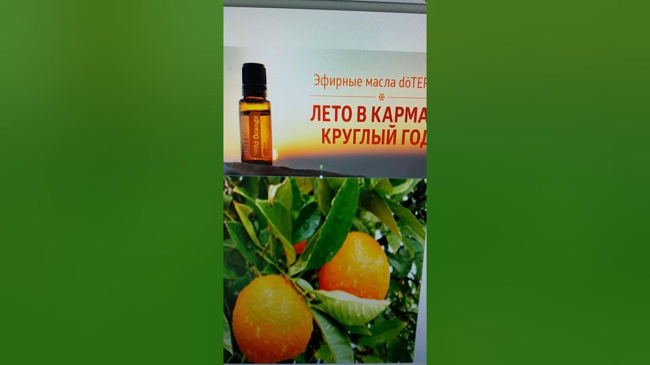 Эфирное масло Дикого апельсина - YouTube