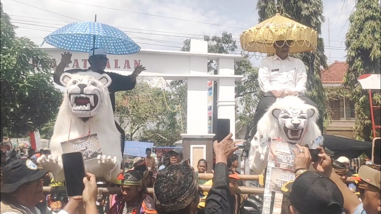 Tradisi Sedekah Bumi & Mapag Sri di Desa Karang Layung Meriah , Ratusan Warga  Padate Karnaval 