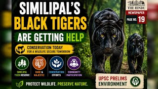 Similipal's Rare Black Tigers Get a Lifeline|Conservation Efforts in Odisha | Environment #upsc2027 