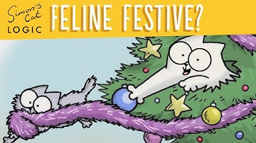 What makes a great gift for a cat? - Simon