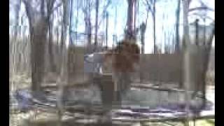 Backyard Throwdown: Round 2