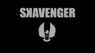 Ultimate Animal / Skavenger bmx build.