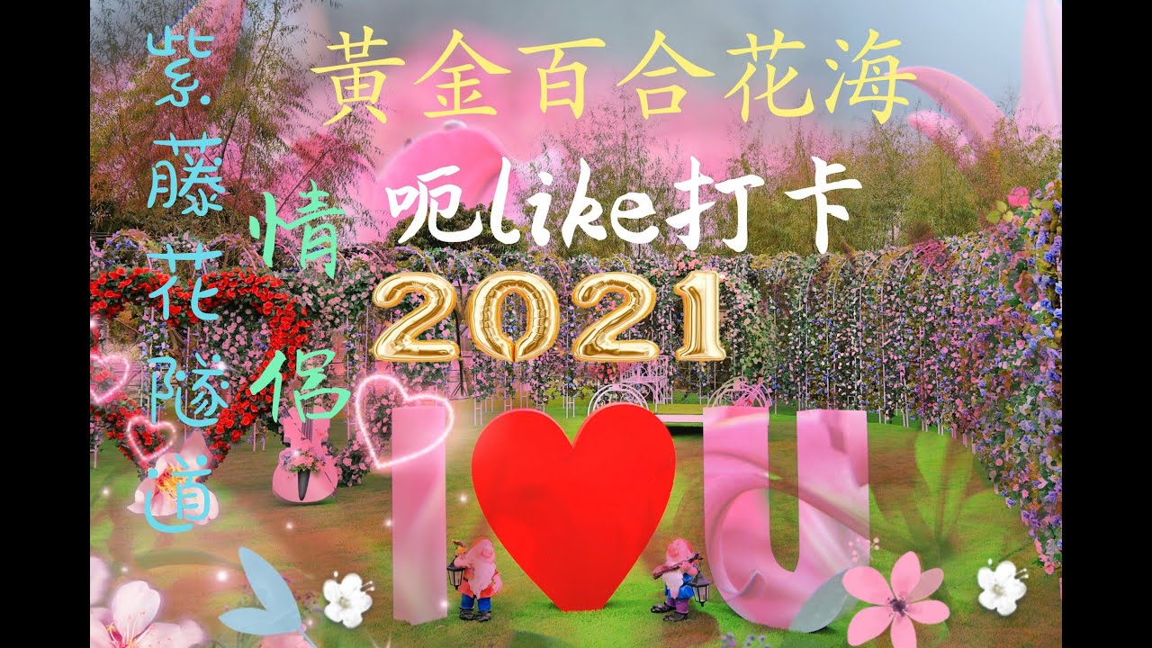 新年熱點 火百合花海 紫藤花隧道 呃like打卡位 紫花風鈴木 4k Youtube