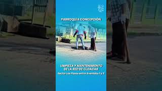 vacum en sectores