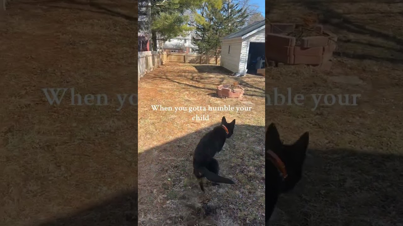 She’s plotting her revenge as we speak 