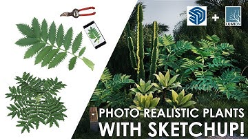 Create Photorealistic Plant Models in SketchUp