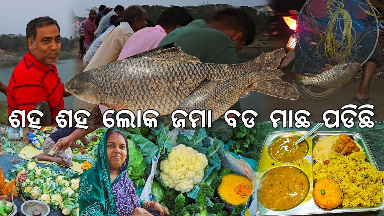 ଶହ ଶହ ଲୋକ ରୁଣ୍ଡ ବଡ ମାଛ ଲାଗିଛି l Best tiffin ହେଲା 😋 l Gouranga Nayak Odia Vlogs 