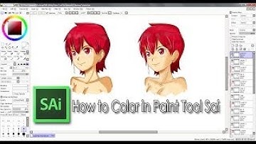 How to color in Paint Tool Sai (Basic Coloring Tutorial for Beginners)