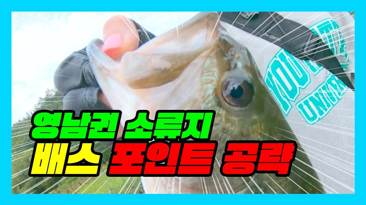 ep.217 영남권 소류지 배스 포인트 공략
