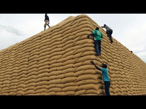 Video: Jengo la nafaka linagharimu kiasi gani?