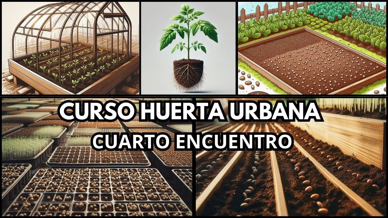 Semilla, Siembra y Almácigos: Guía Completa para Iniciar tu Huerta