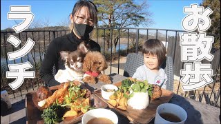 犬と一緒にお散歩ランチへ トイプードル・チワワ