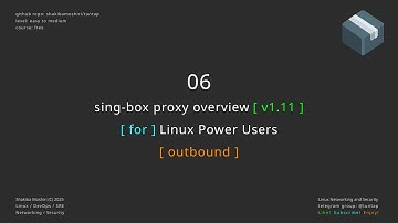 06 sing-box proxy overview -  outbound object