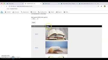 Attach Libraries in View in Drupal8