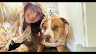 Matching Robes for You and Your Pup! We Love Ours! screenshot 3