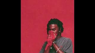 Playboi Carti - Riri