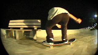 Florida Daze Leftovers