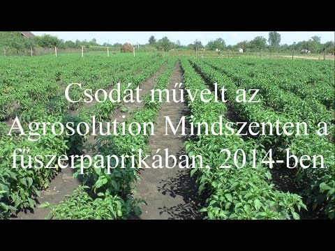 Videó: Kaliforniai szárazság 2014-ben