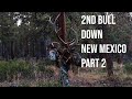 2 Bulls Down! Archery elk hunting back country New Mexico