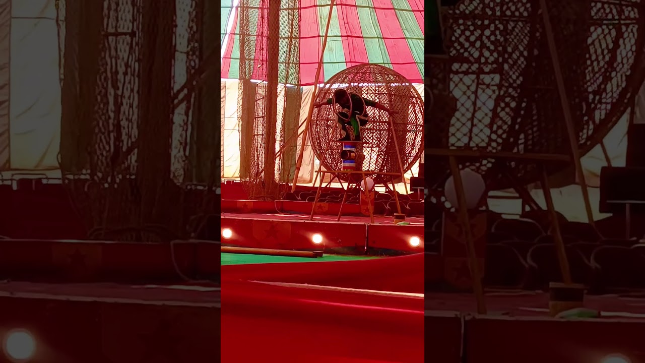 "Under the big top, every moment feels royal 👑✨ 