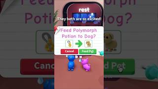 😻POLYMORPHING *THE FIRST PETS* IN ADOPT ME!