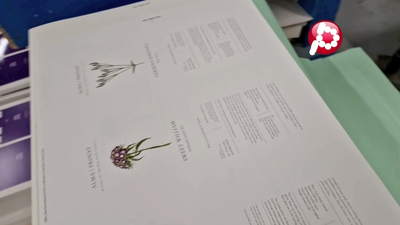 Packaids Seed Packets